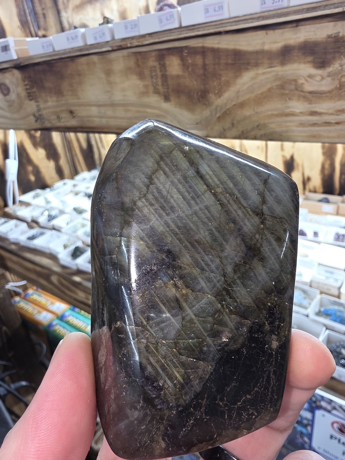 Polished Labradorite