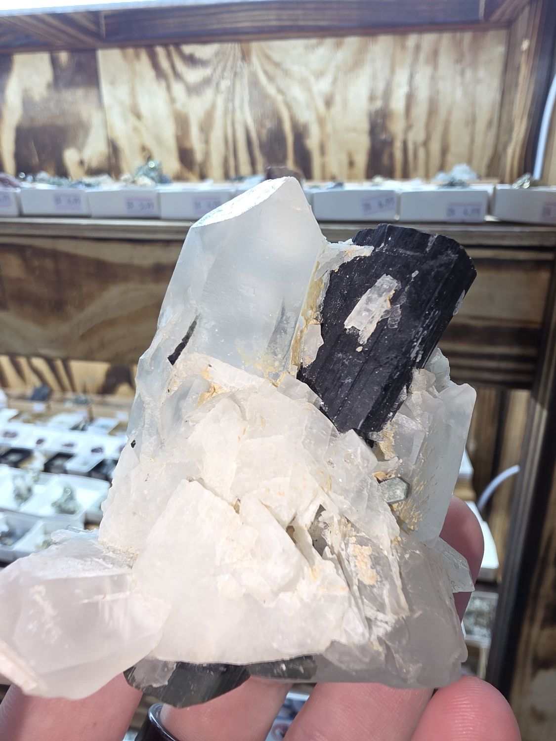 Green cap Tourmaline on Quartz