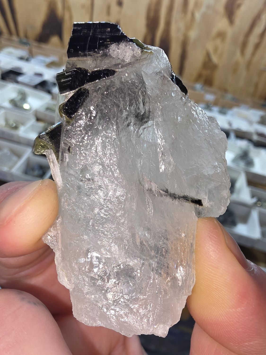 Green-cap Tourmaline on Quartz #2