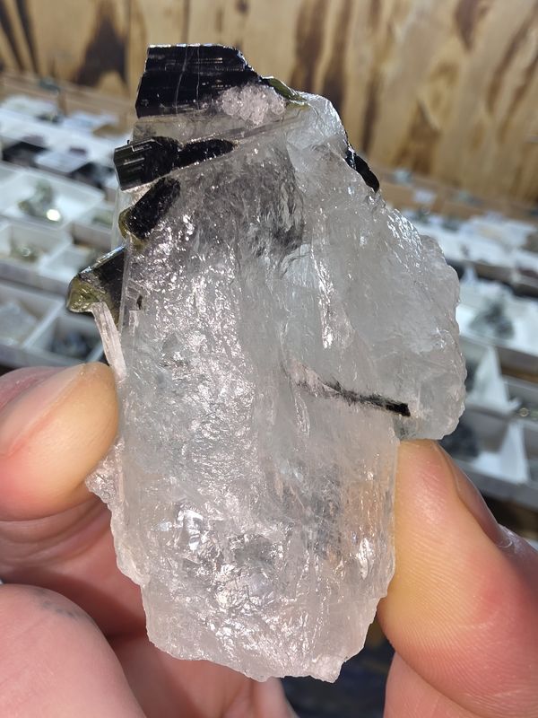 Green-cap Tourmaline on Quartz #2