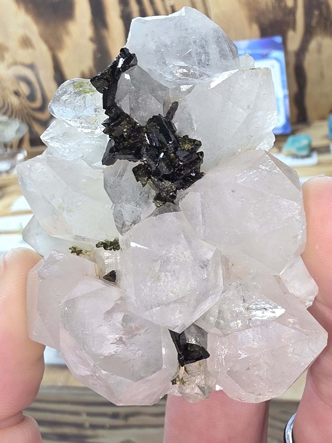 Epidote w/Quartz.  Stunning piece!