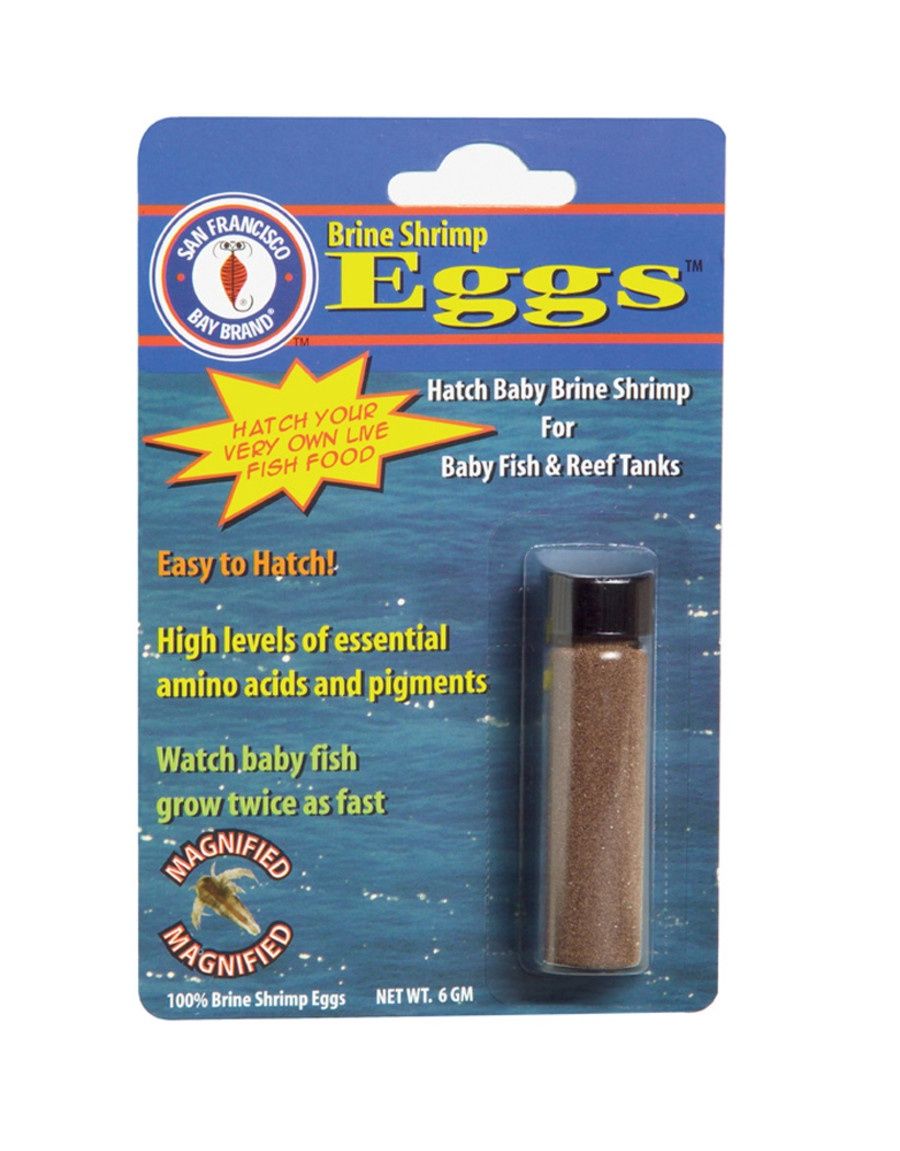 San Francisco Bay Brand Brine Shrimp Eggs Live Fish Food 1ea/6 g