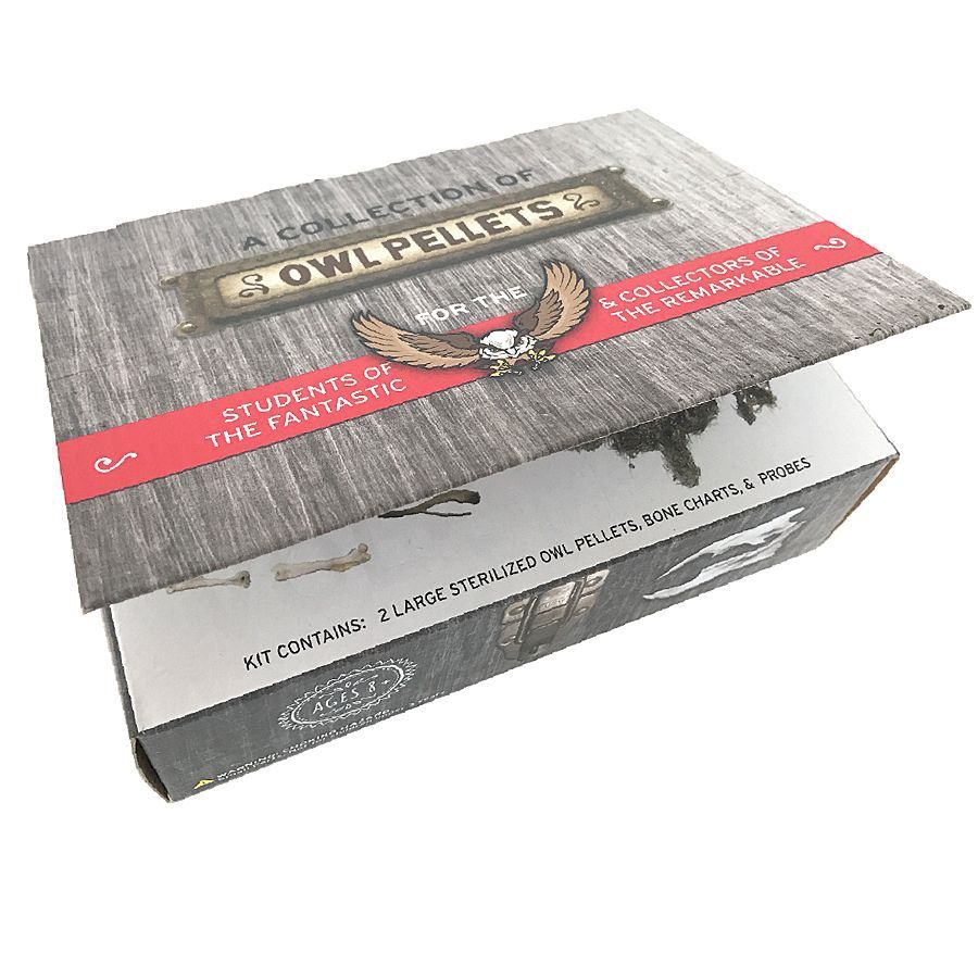 Cabinet of Owl Pellets | Dissection Kit Science