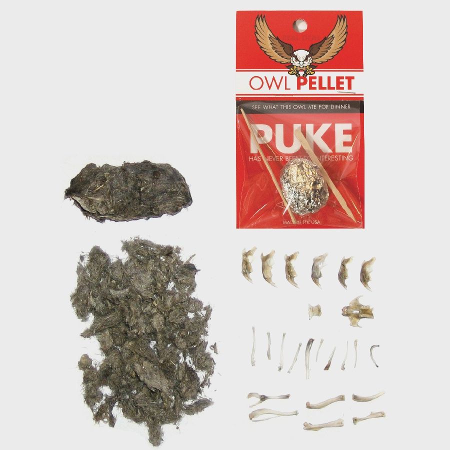 Owl Pellet | Compact Curiosities Dissection Kit