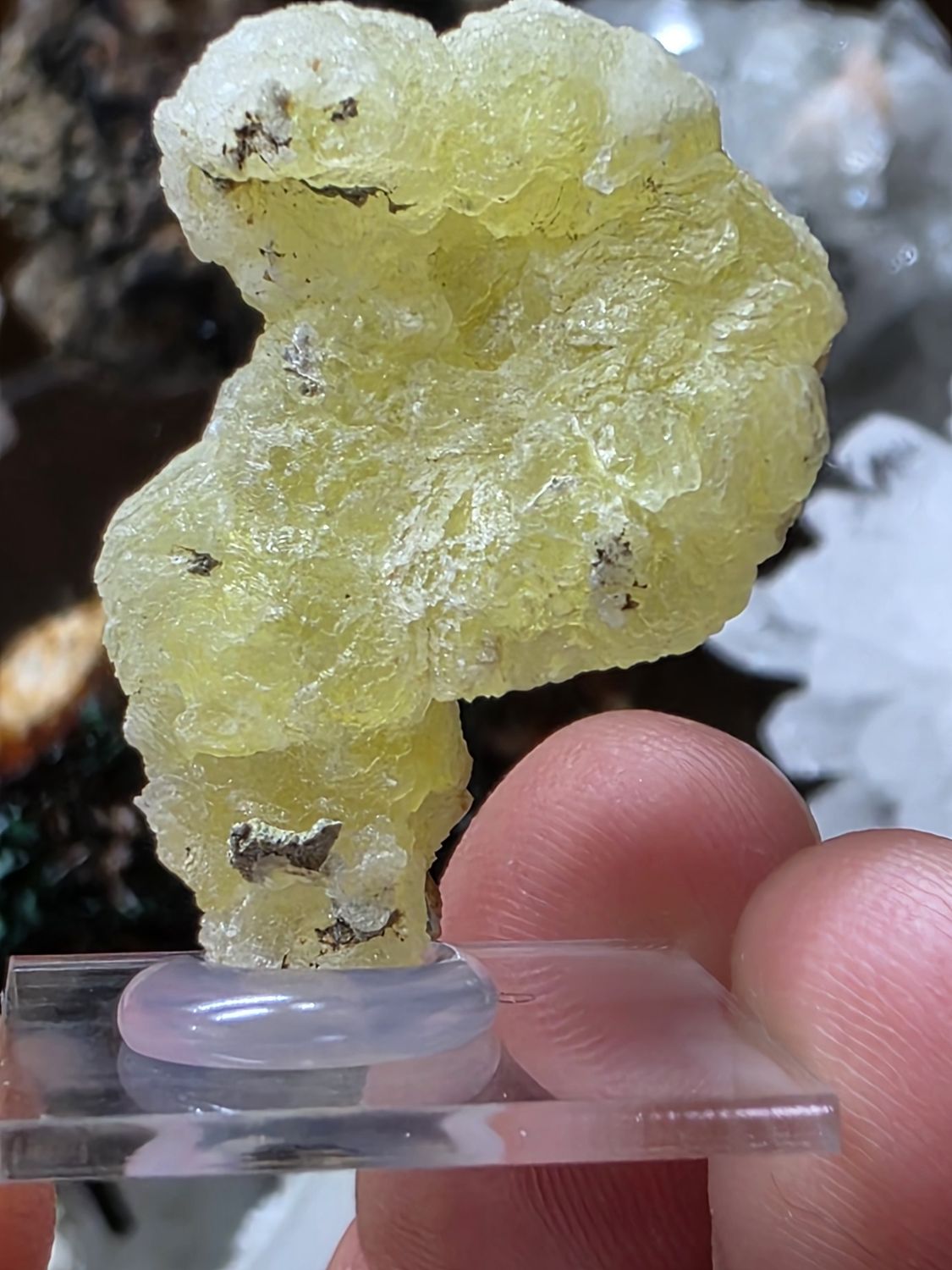 Brucite on display stand