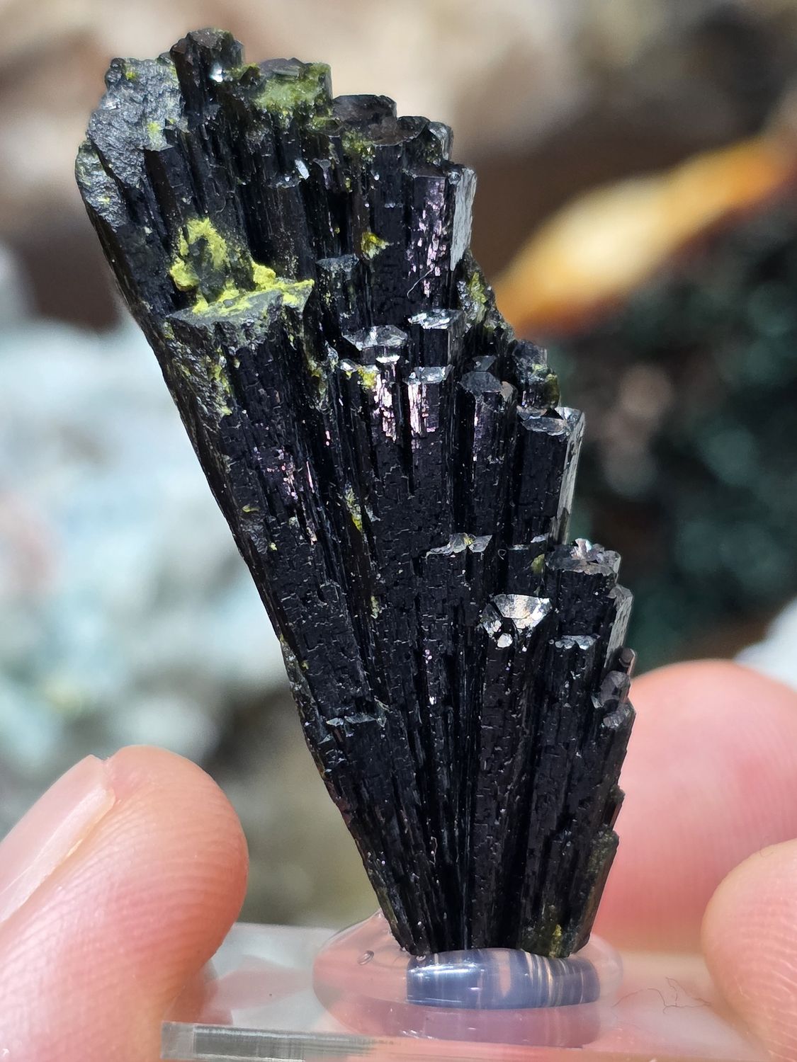 Epidote on display stand #1