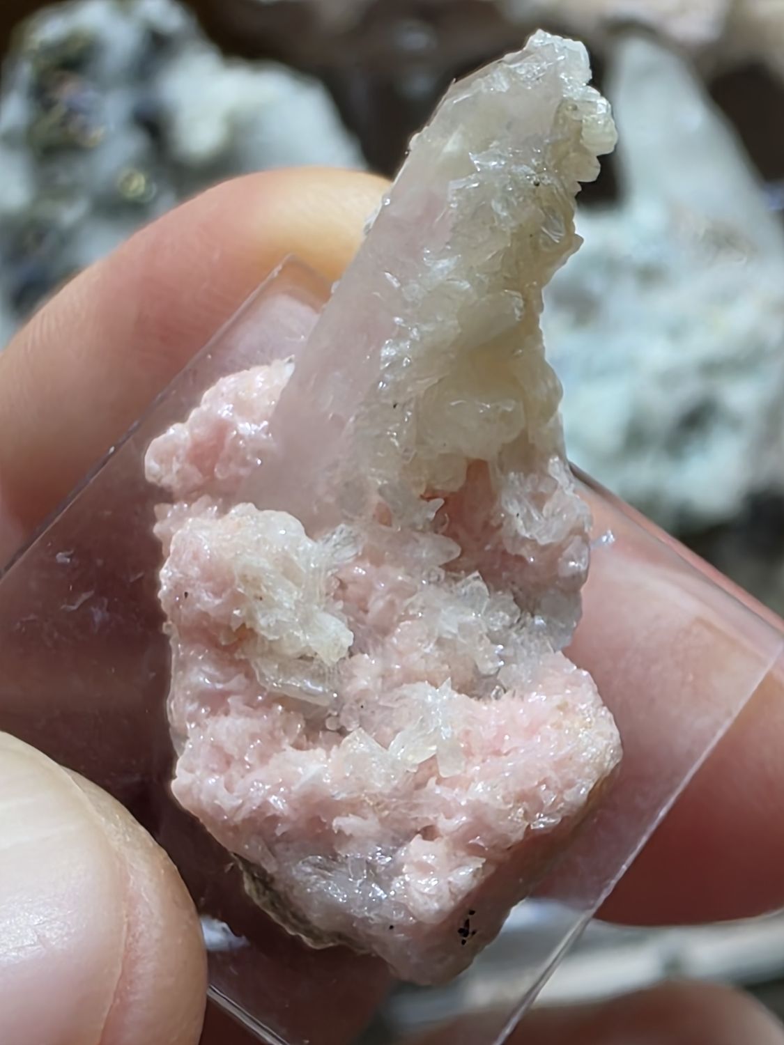 Rhodochrosite w/Quartz on display stand