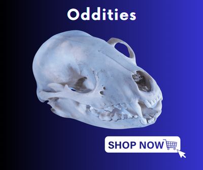 Oddities