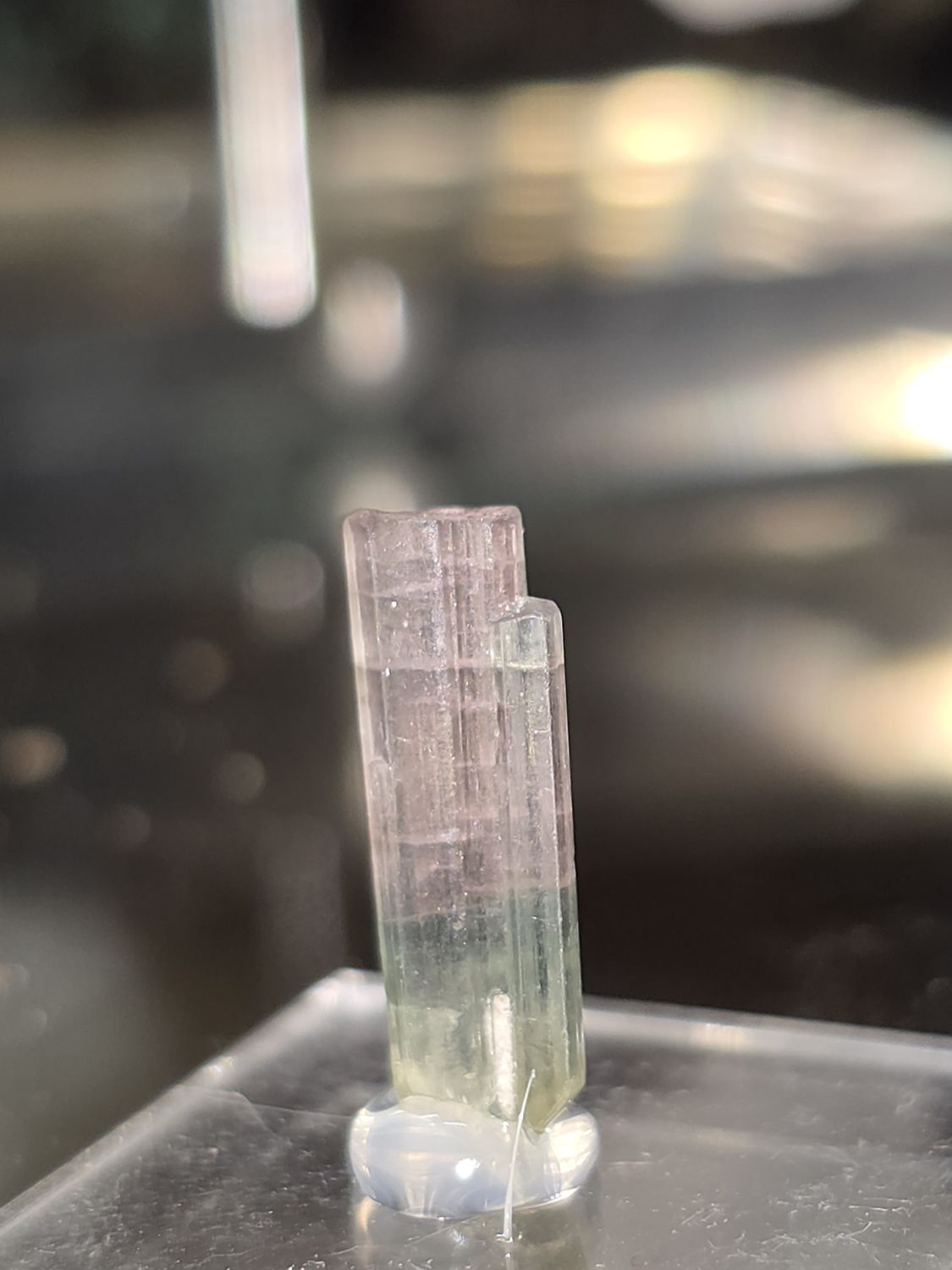 Bicolor Tourmaline on display stand