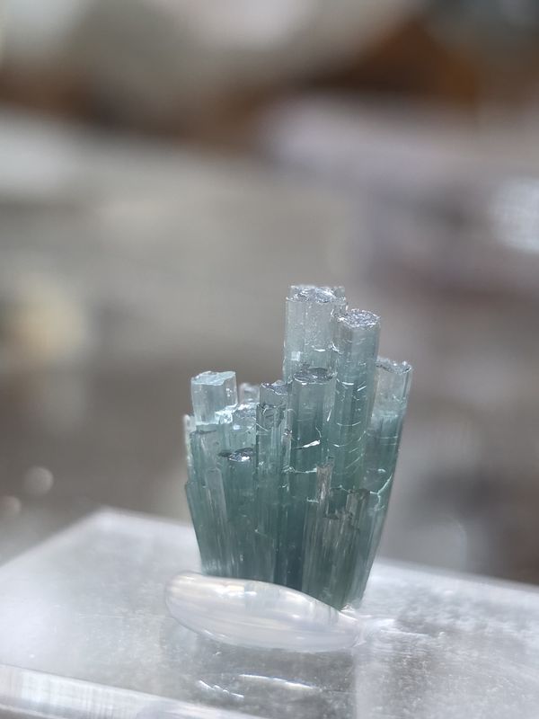 Terminated Tourmaline #1
