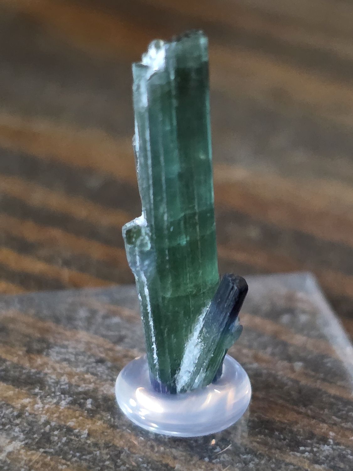Bicolor Tourmaline Spray