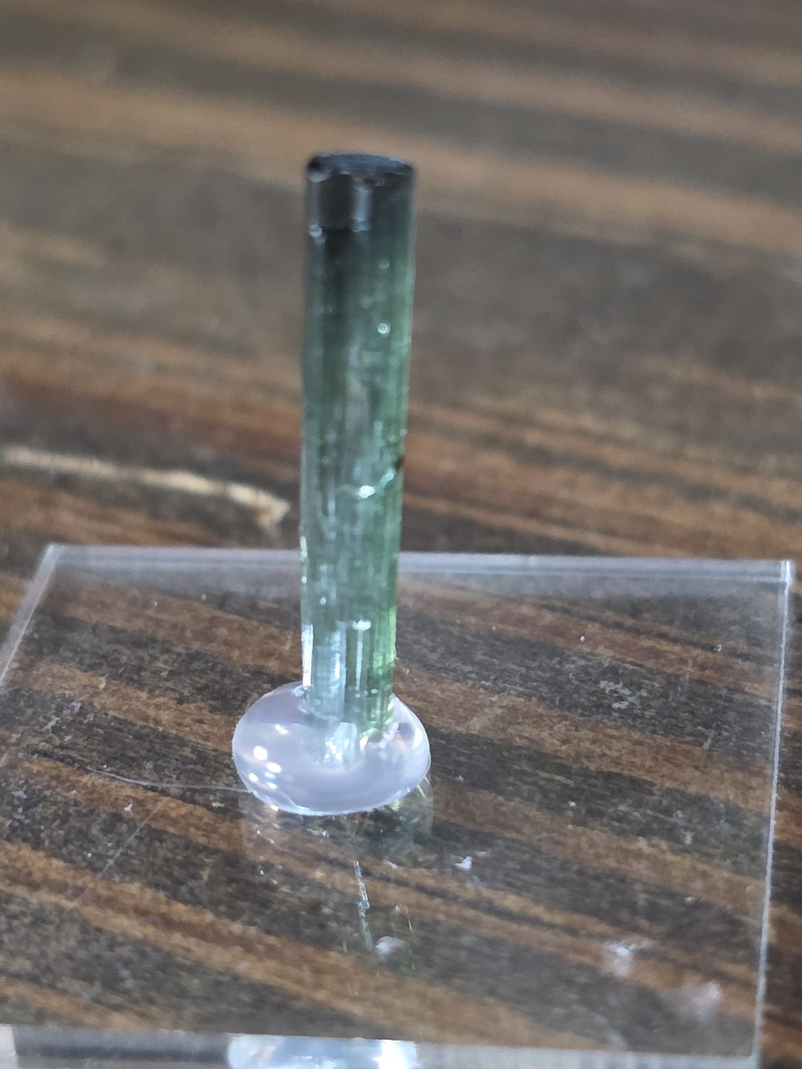 Assorted Tourmaline on display stand