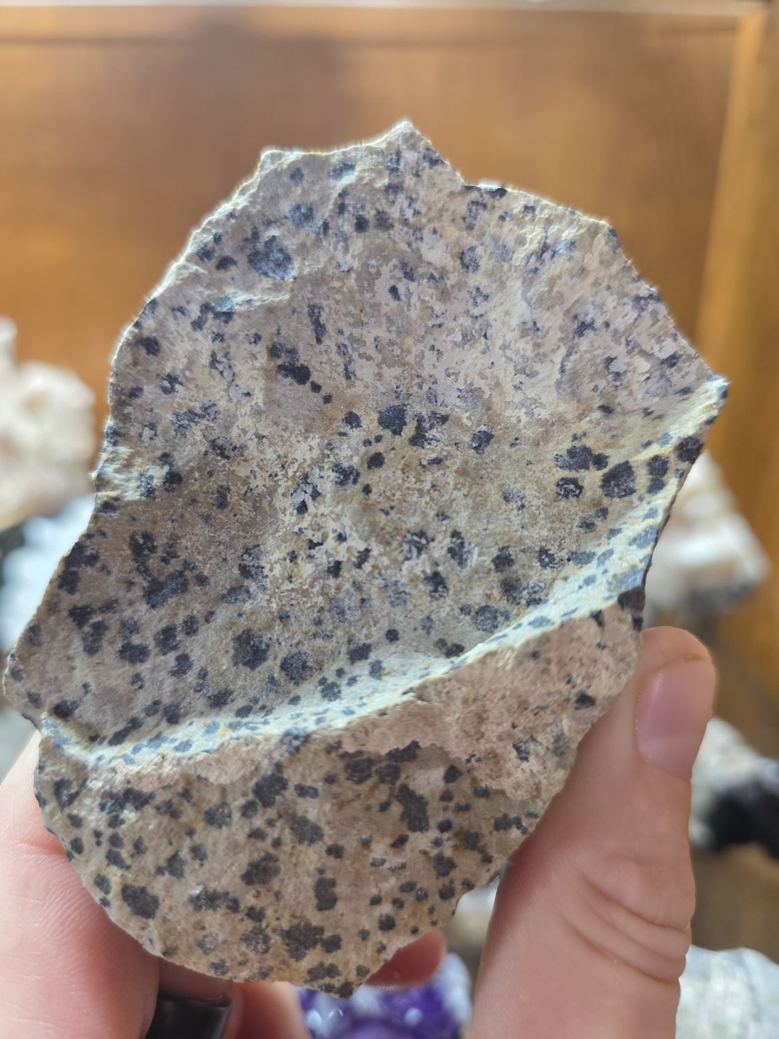 Dalmatian Jasper