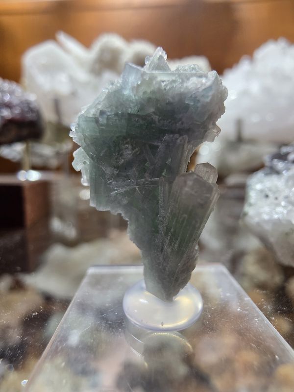 Bicolor Tourmaline Cluster/spray