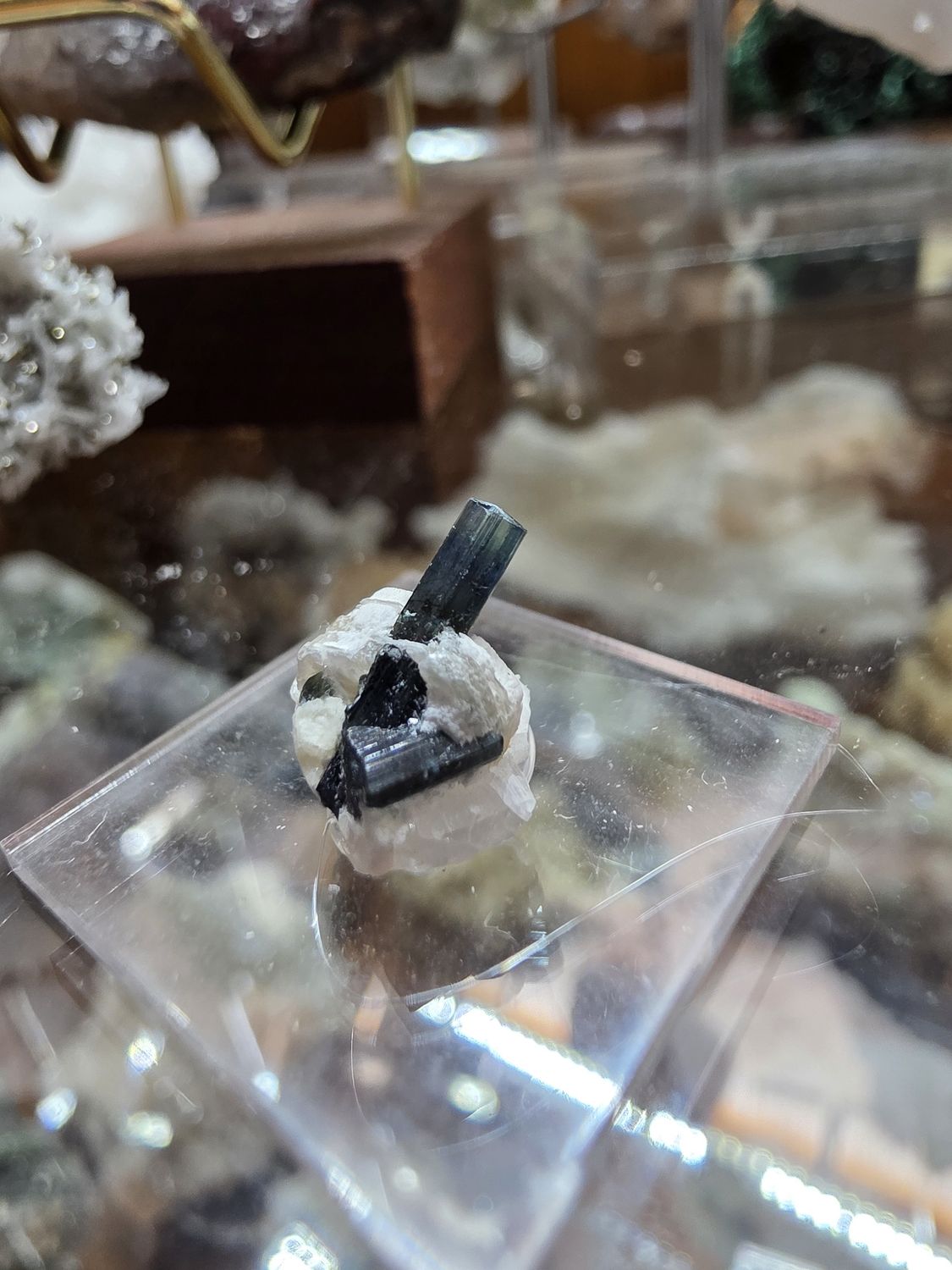 Bicolor Tourmaline w/Quartz &amp; Mica