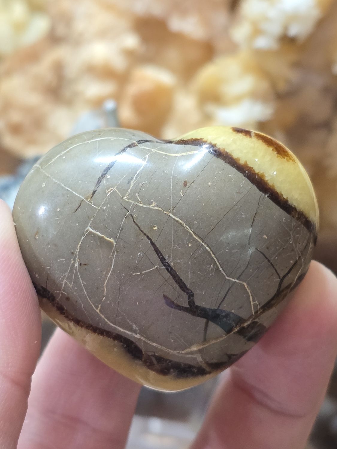 Septarian Stone, Heart