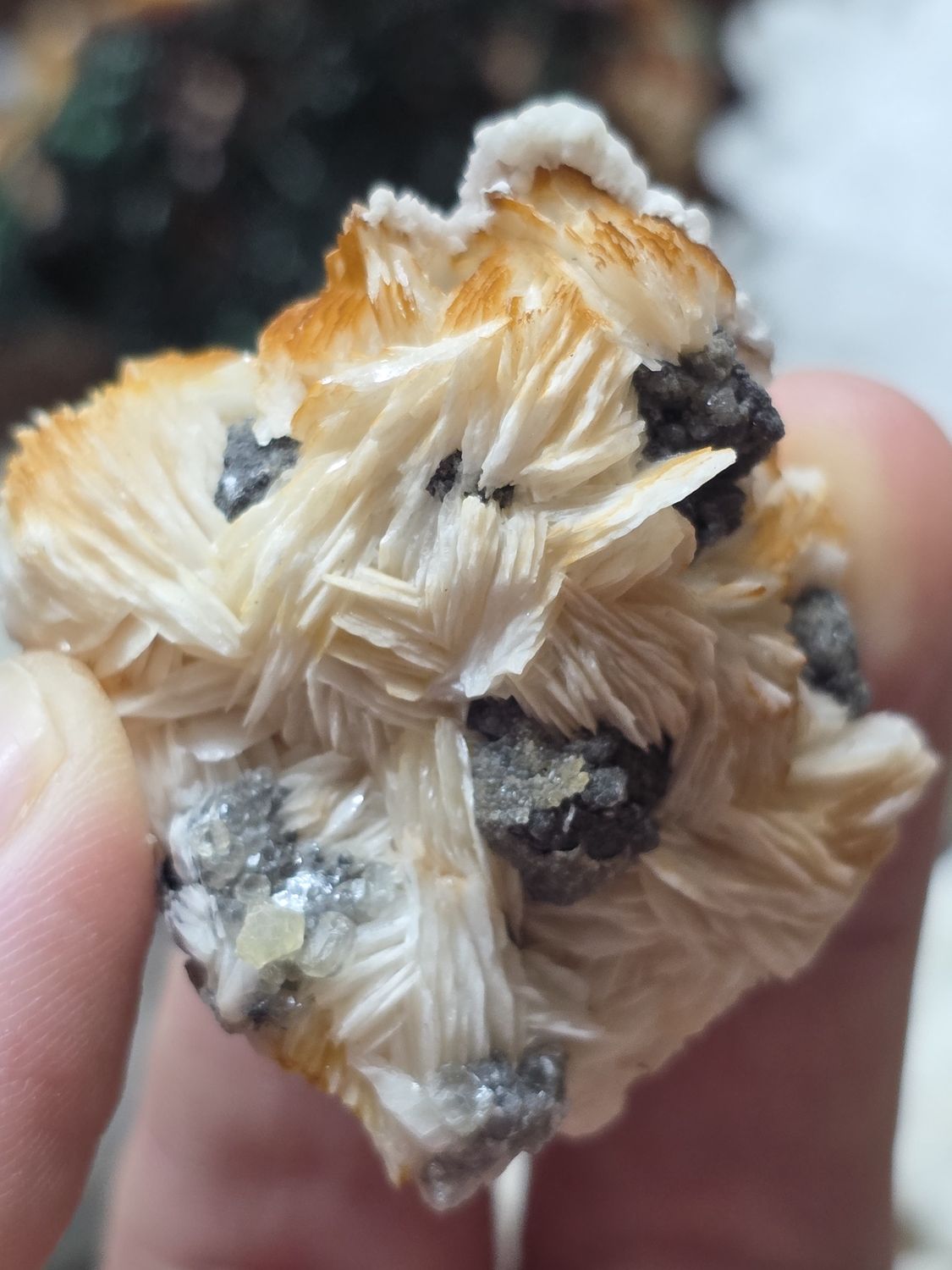 Barite w/Cerussite