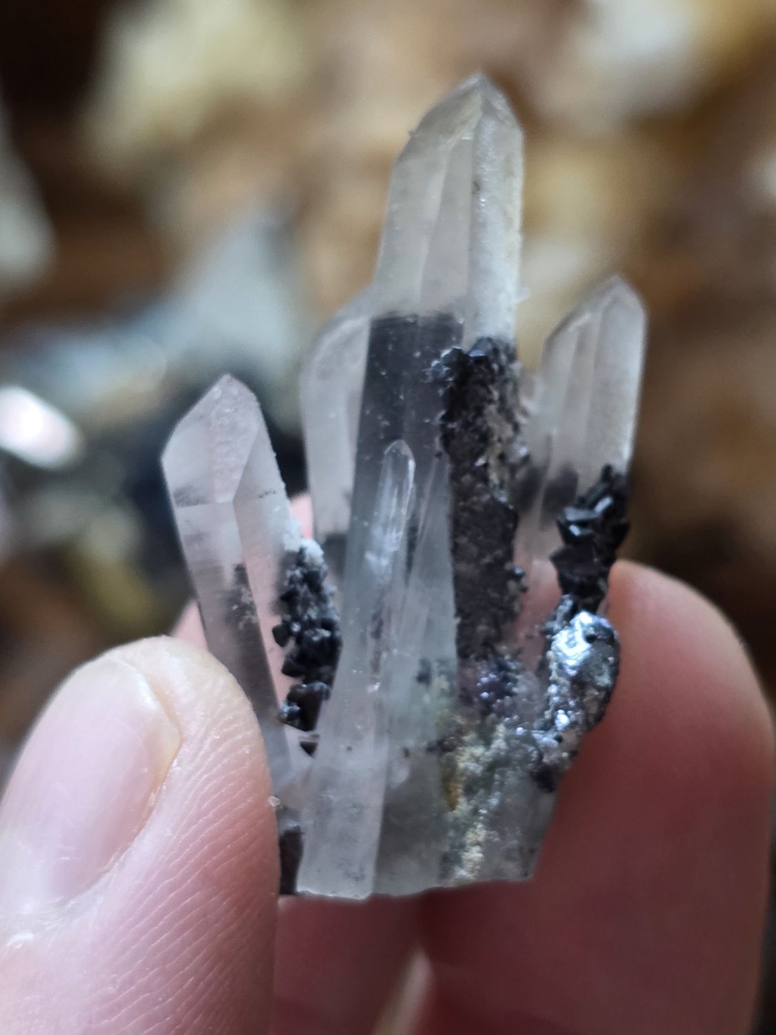 Quartz w/Galena &amp; Sphalerite