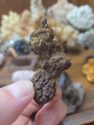 Coprolite (fossilized poop)