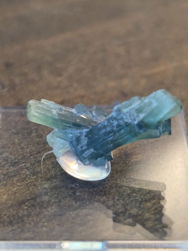 Bicolor Tourmaline, double spray.