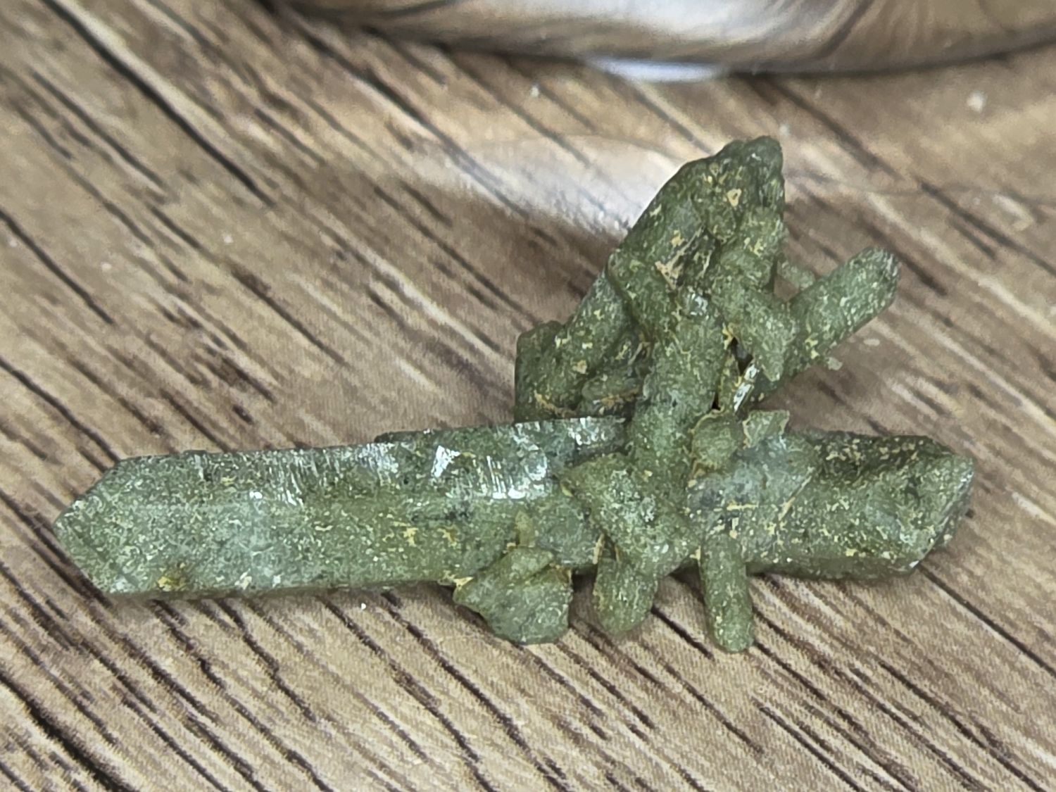 Quartz w/Chlorite #3