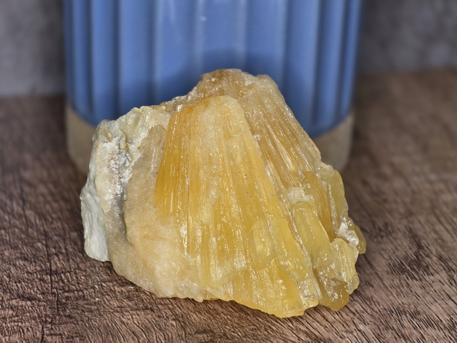 Golden Aragonite #1