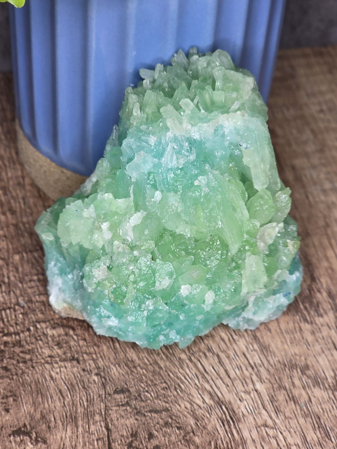 Bi-color Aragonite.  Stunning!