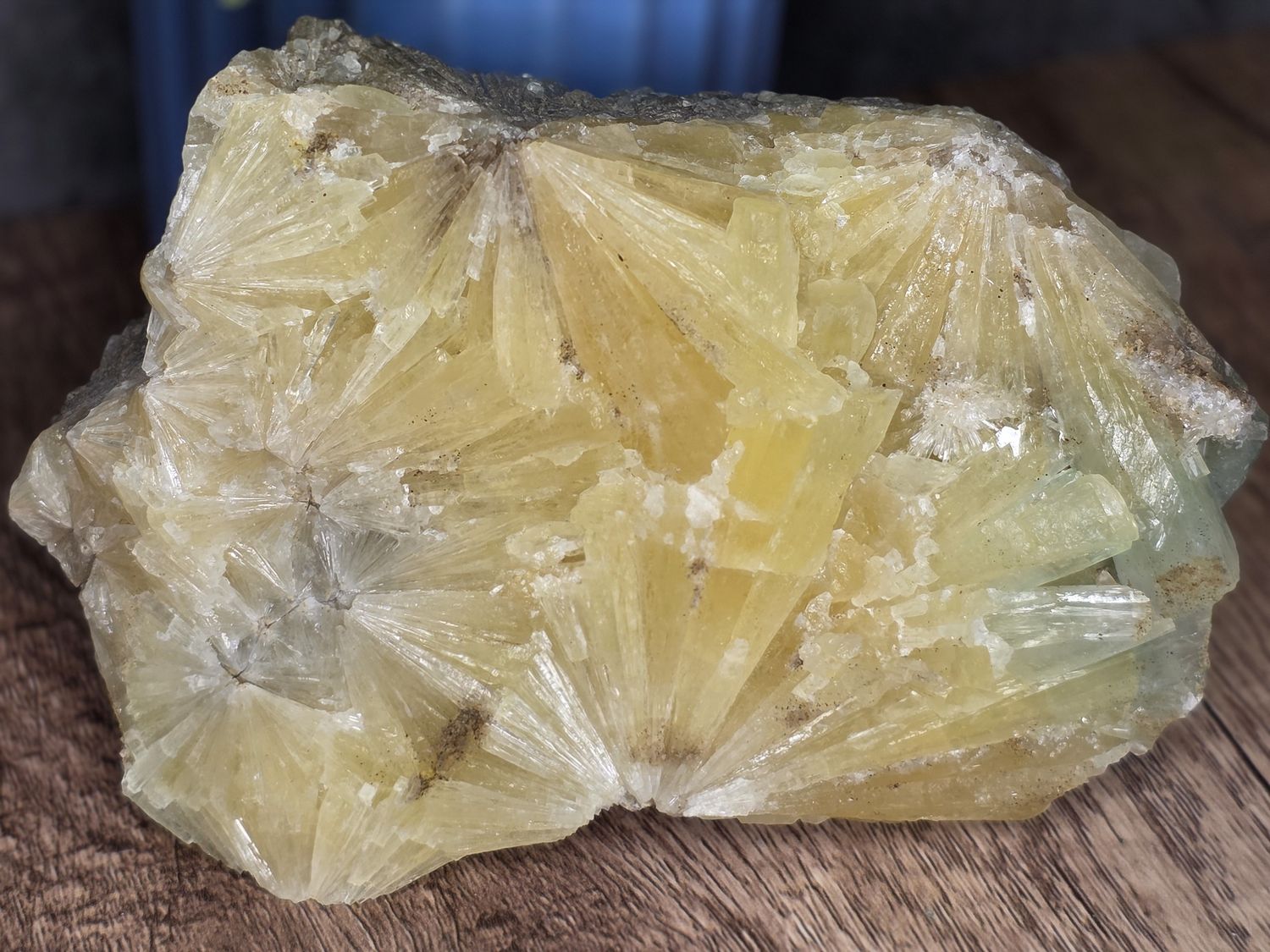 Flower, Golden Aragonite.  Nice piece!