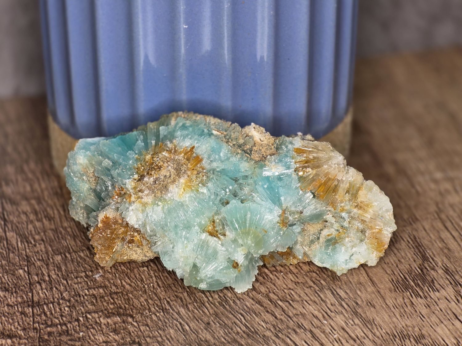 Blue Flower Aragonite
