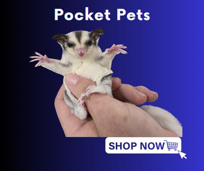 Pocket Pets