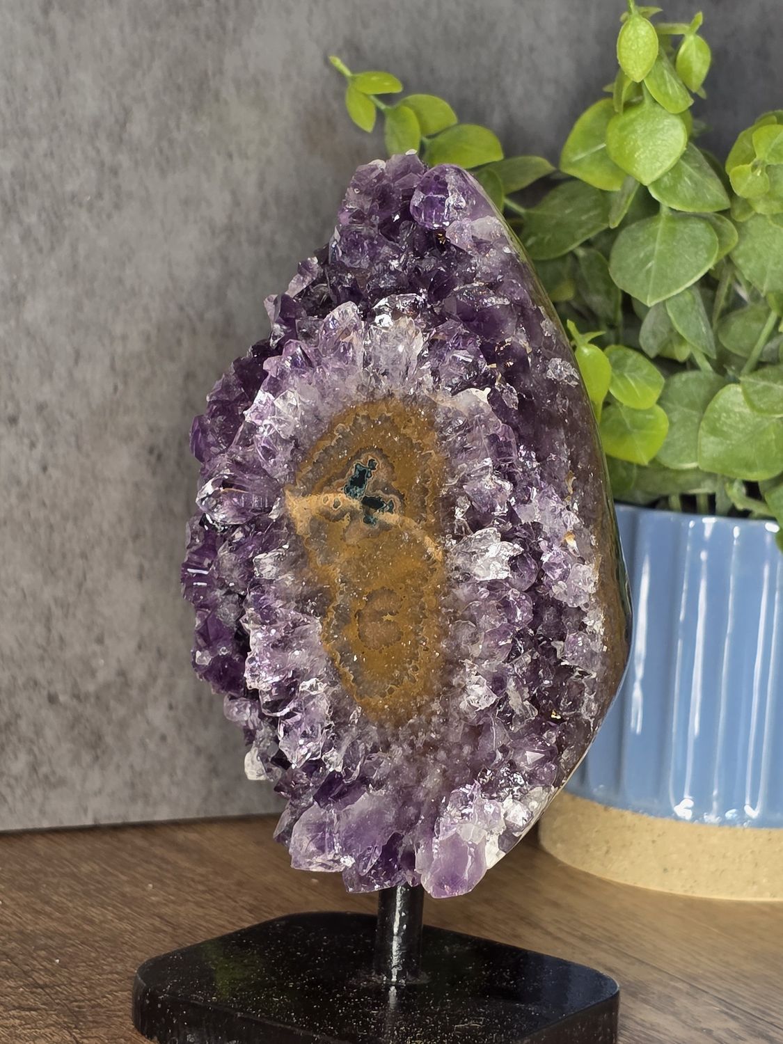 High quality Amethyst w/polished stalactites!