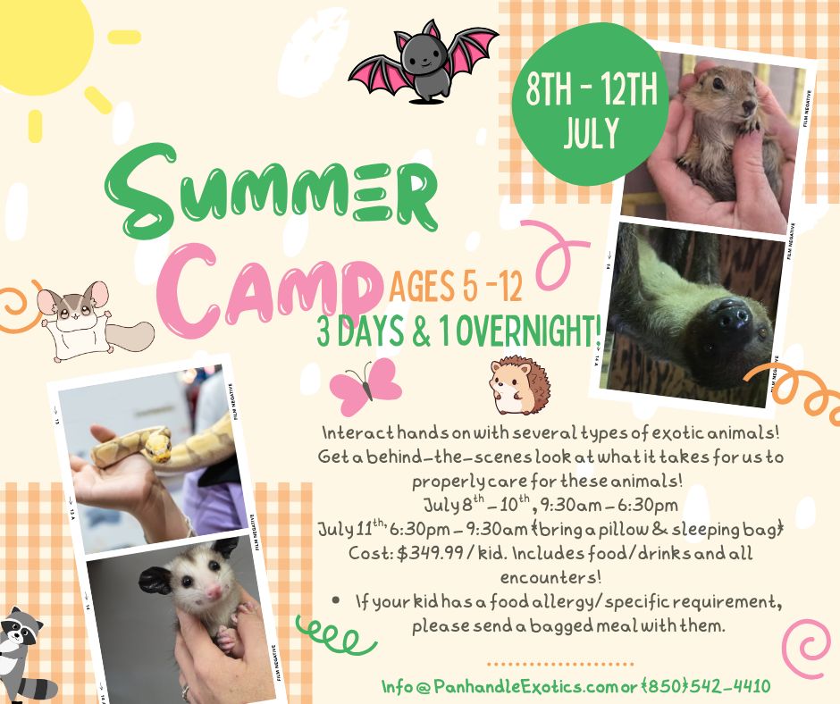 Kids Summer Camp!