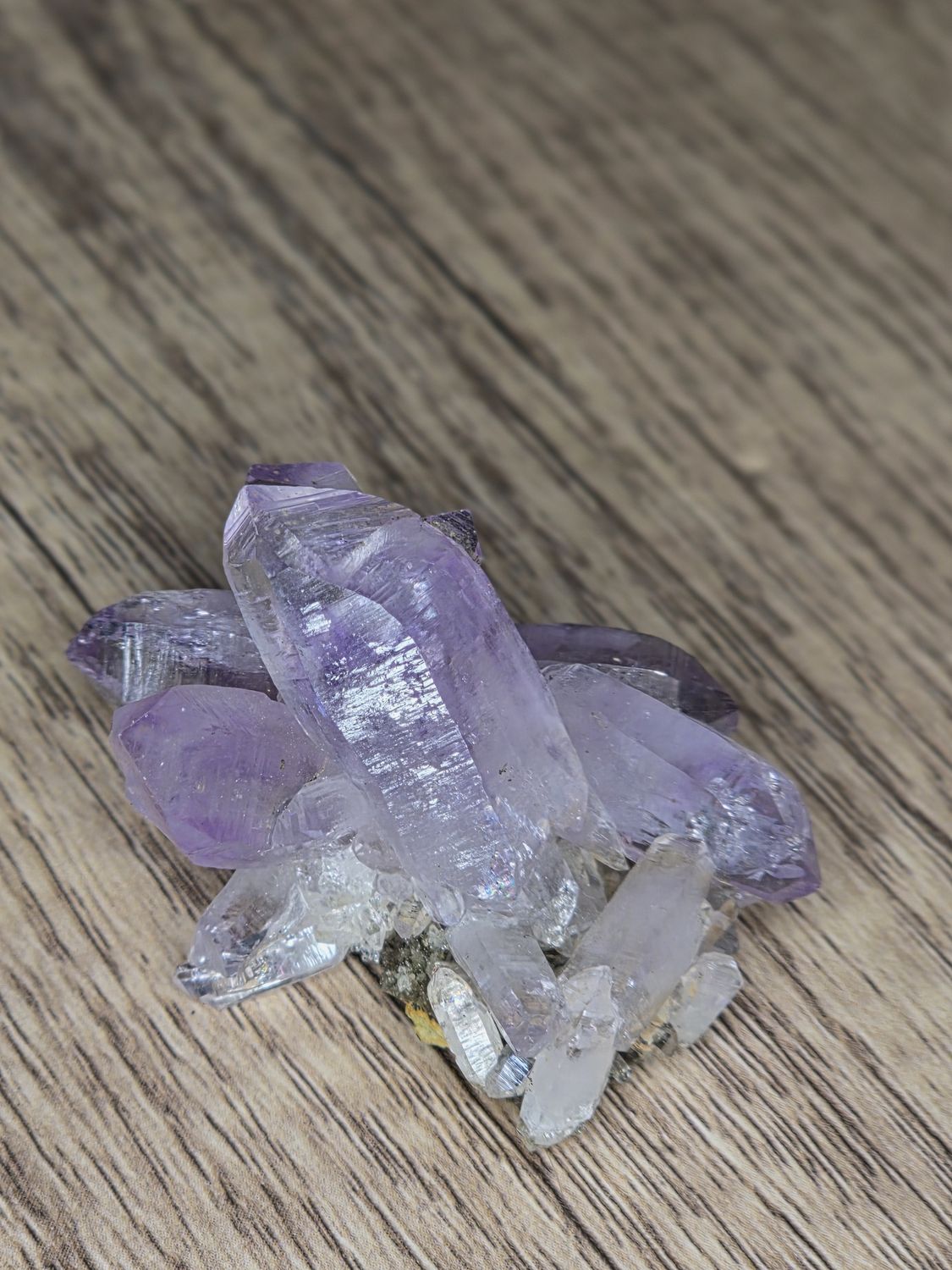 Veracruz Amethyst #1