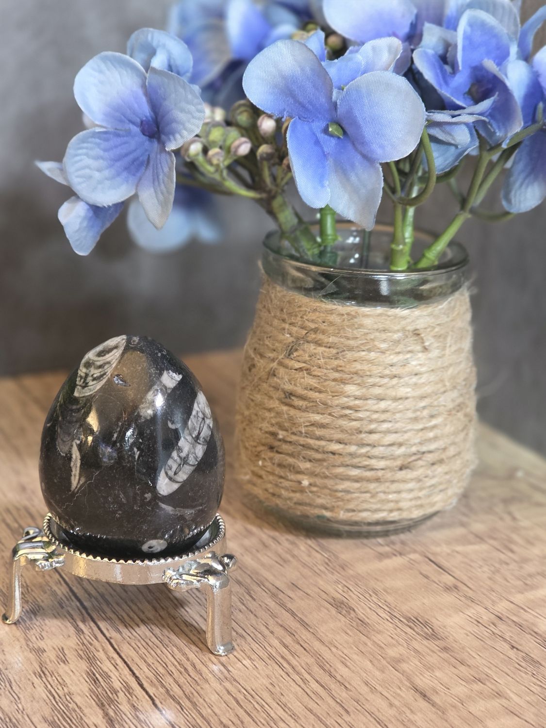 Orthoceras Fossil, polished Egg.  Includes stand!