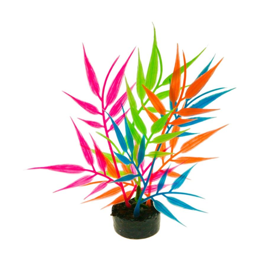 ColorBurst Florals Aquarium Plant