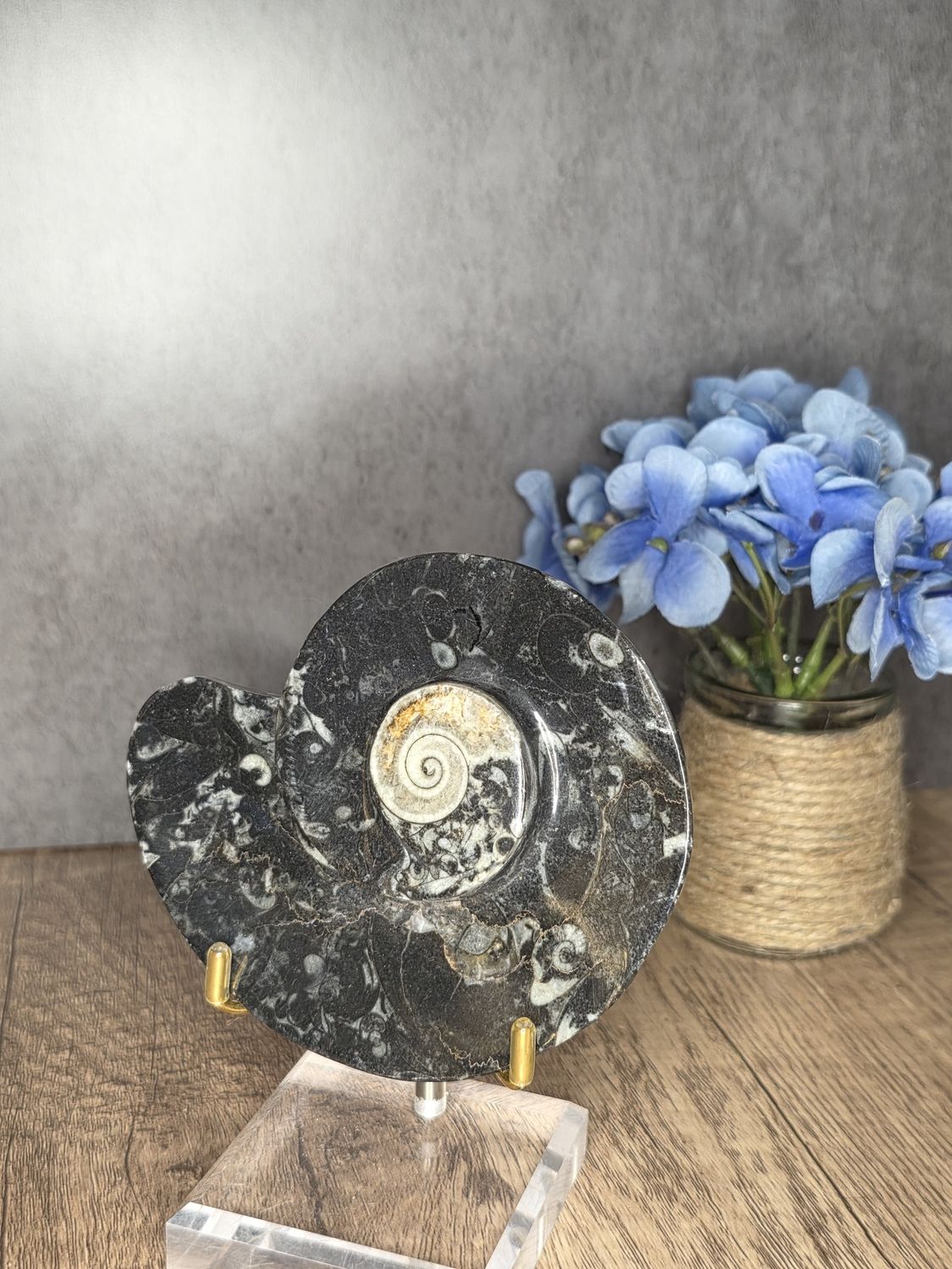 Ammonite &amp; Orthoceras fossil dish.