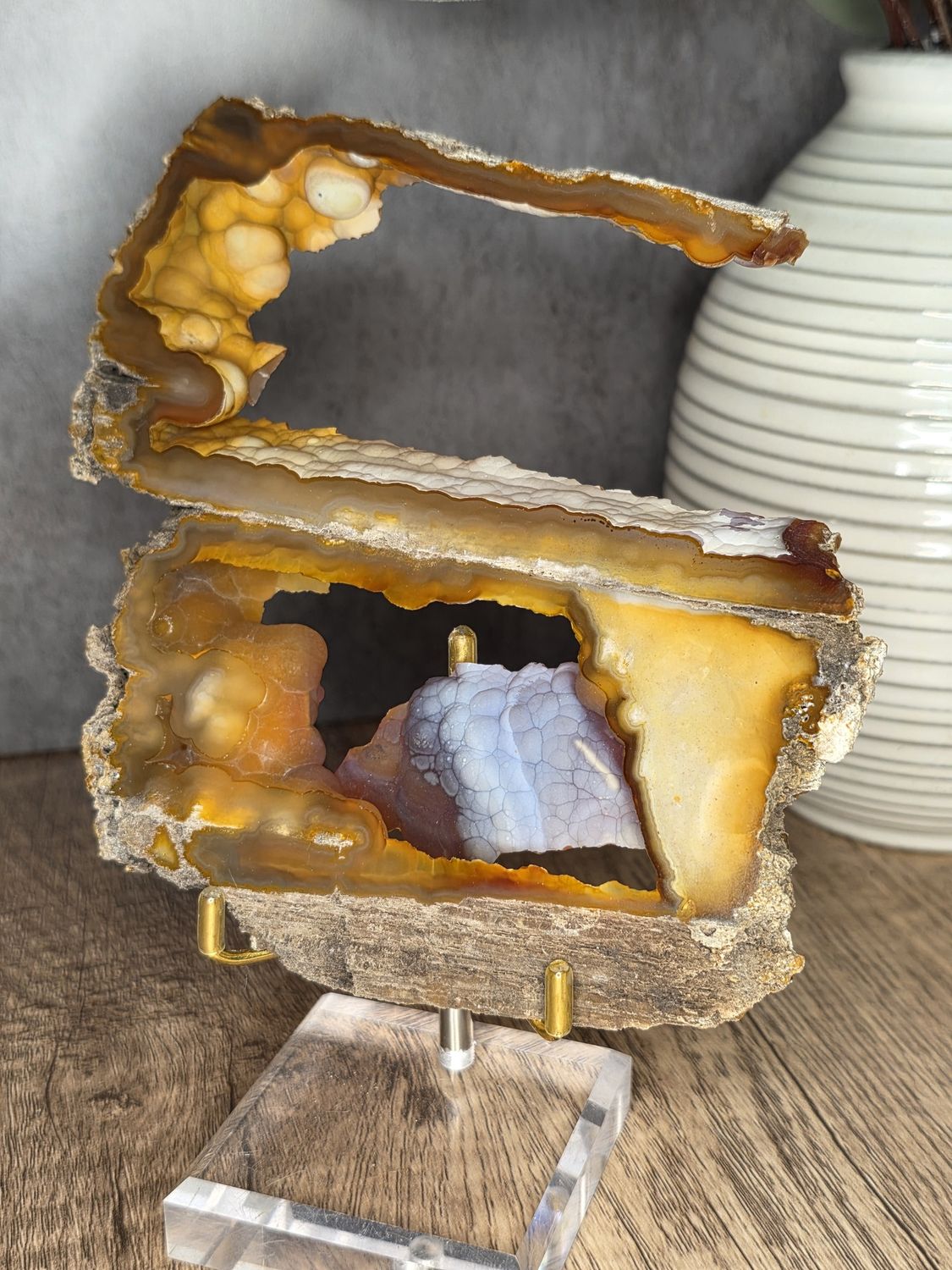 Agatized Coral Fossil.  Amazing piece!
