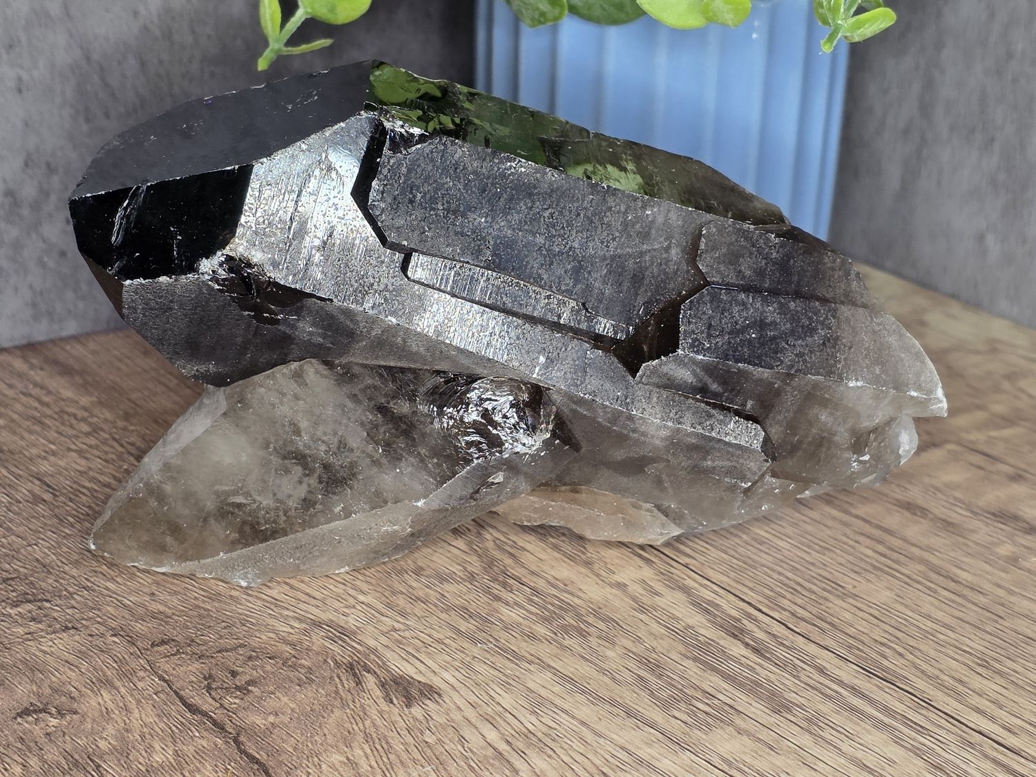 Giant Smokey Quartz cluster
