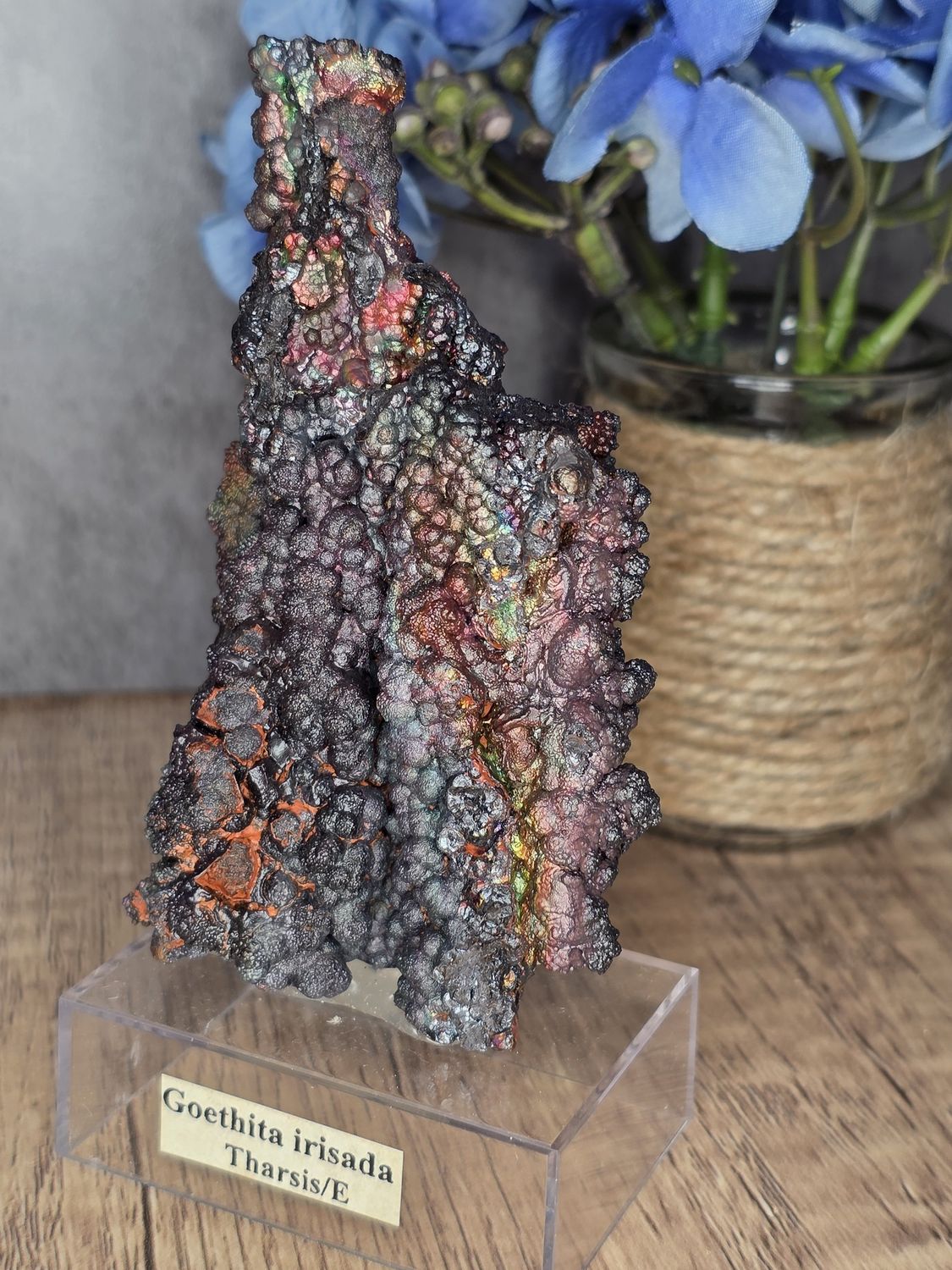 Goethite on stand #7