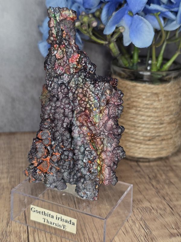 Goethite on stand #7