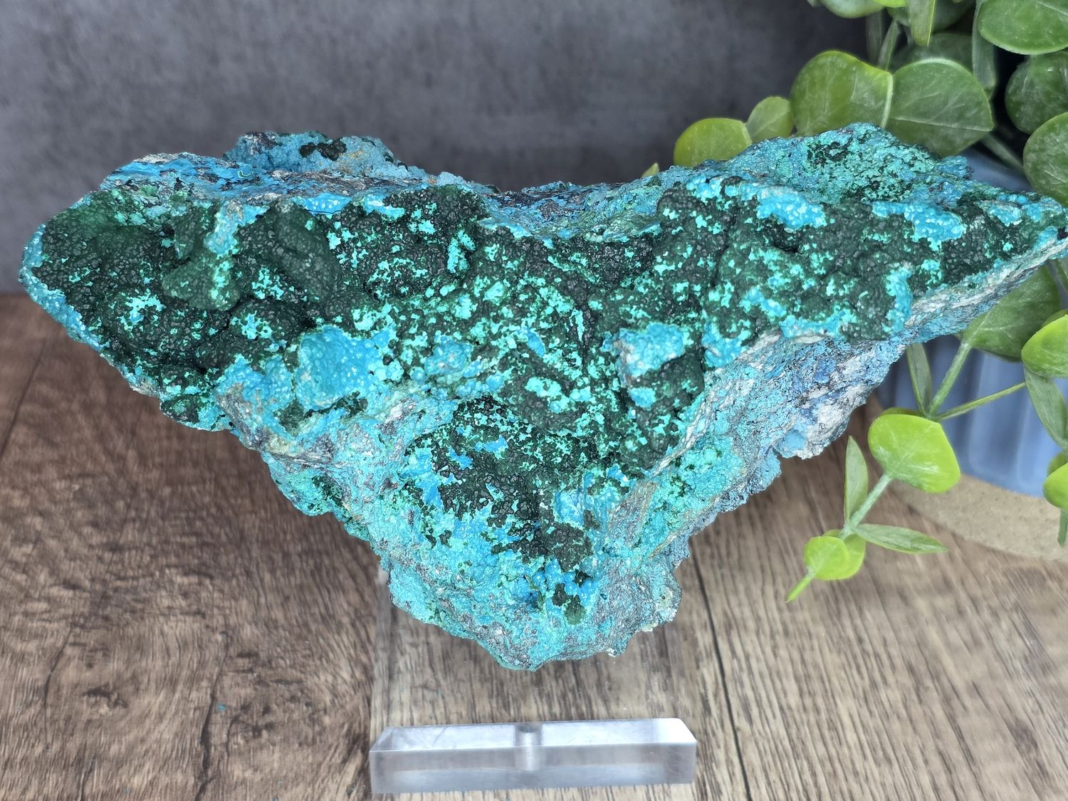 Large Malachite and Chrysocolla from Congo