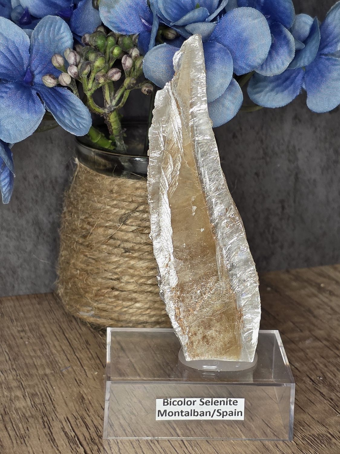 Bicolor Selenite #2