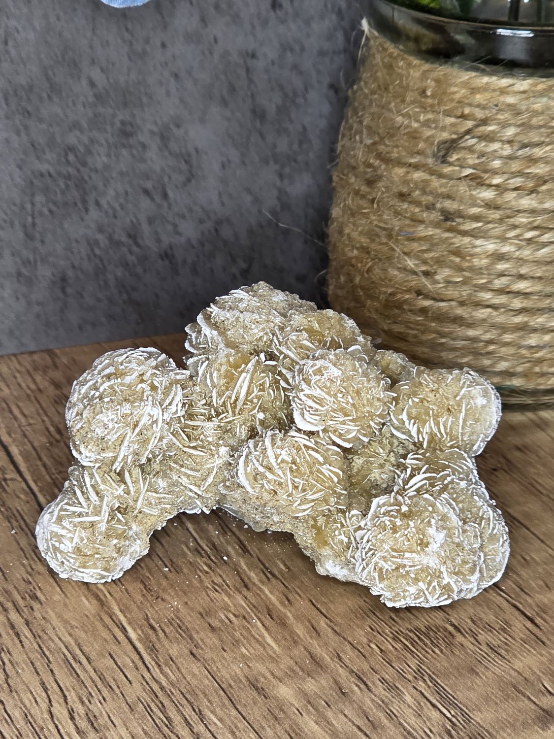 Medium Desert Rose