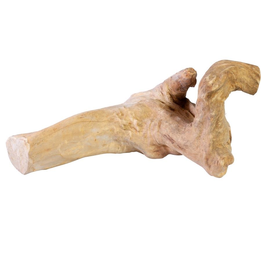 A &amp; E Cages Java Wood Reptile Branch 1ea/MD