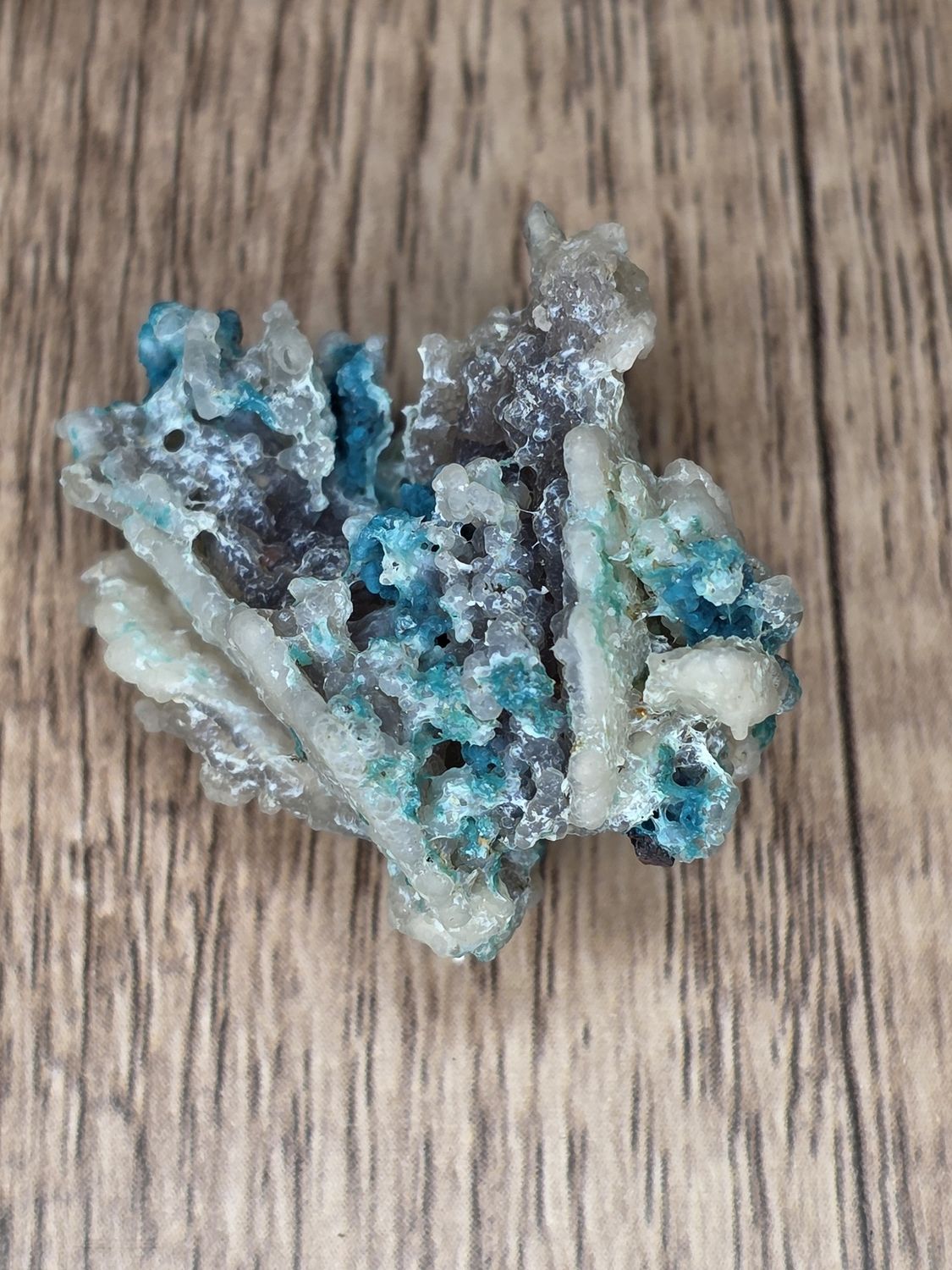Botryoidal Chrysocolla #4