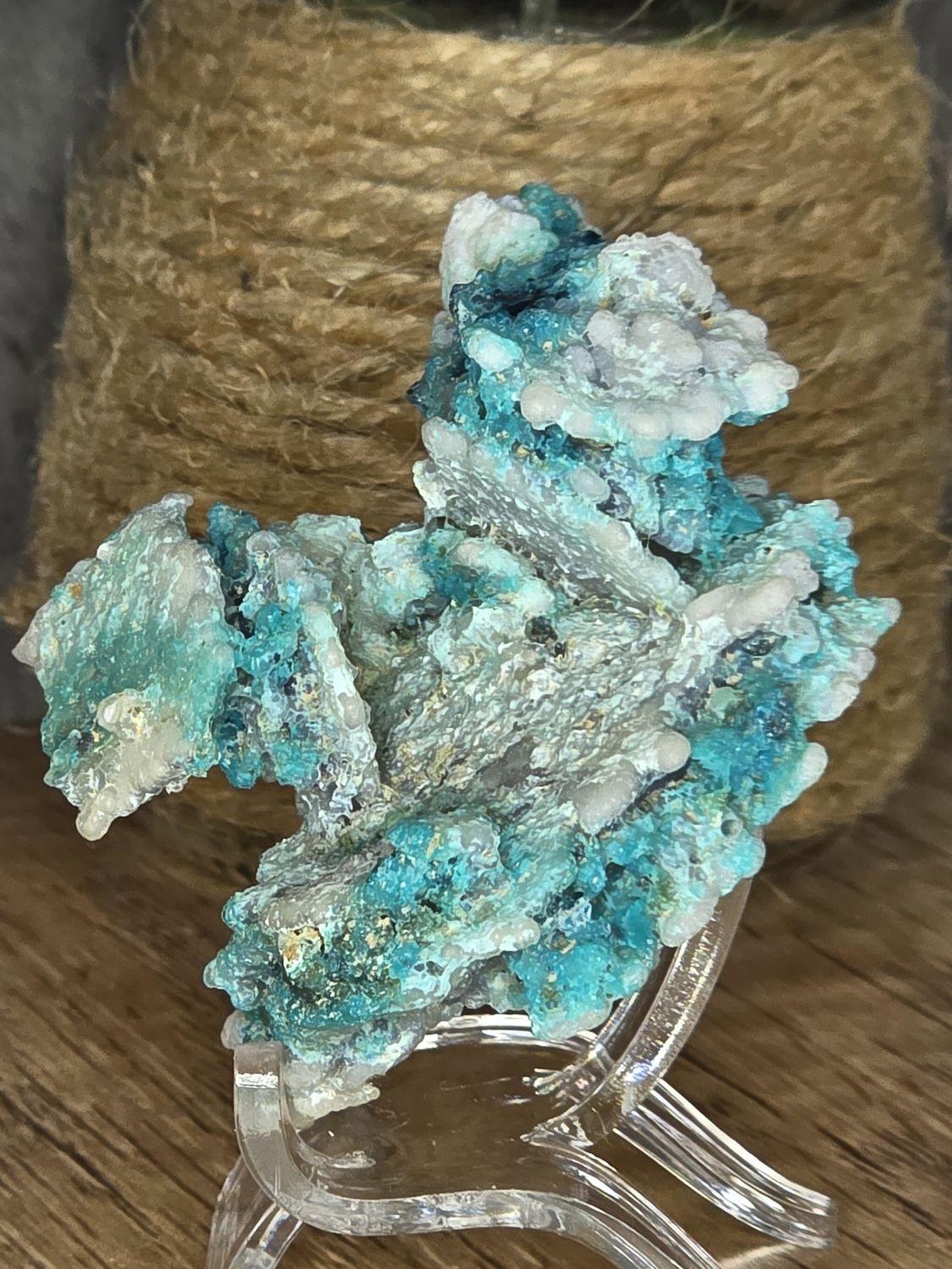 Botryoidal Chrysocolla #7