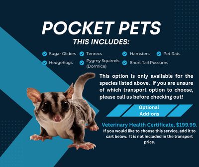 Pocket Pets, Transport
