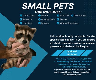 Small Animal Transport