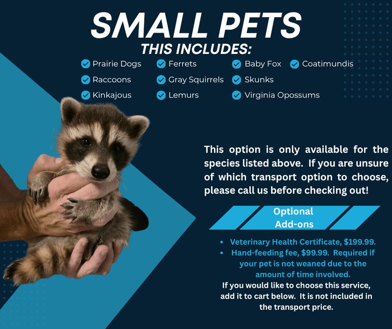 Small Animal Transport