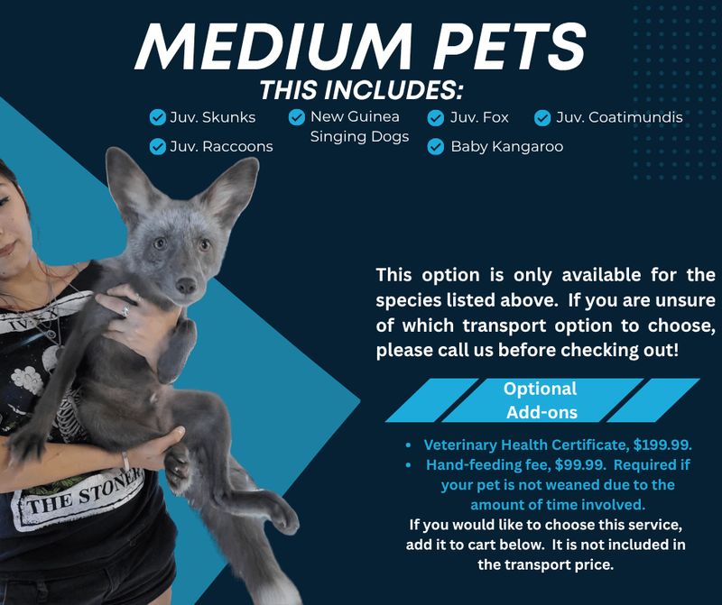 Medium Pet Transport